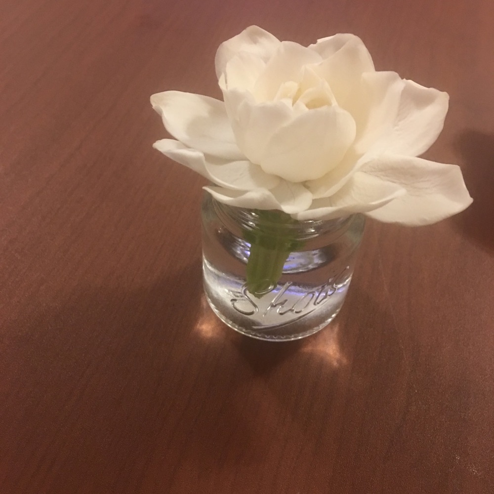 Meet your Posher, Keiko